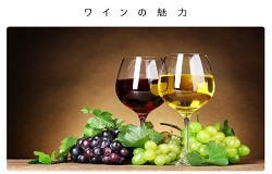 ワインの魅力